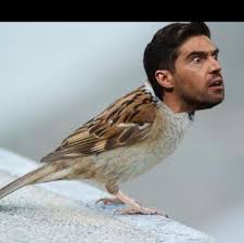 CanutoAdriano's tweet photo. @oporcorei1914 https://t.co/Tn8PRw49Mv
