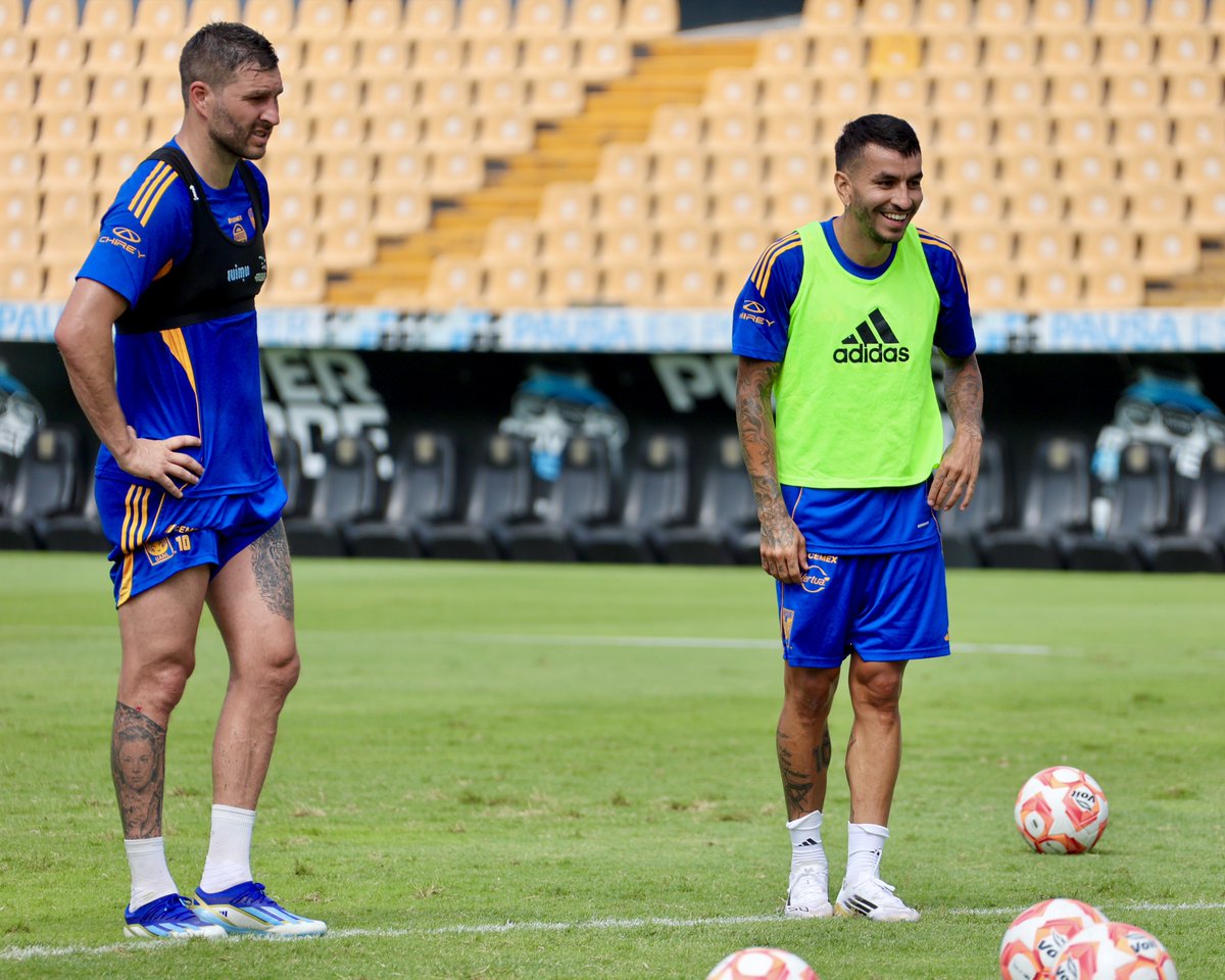 TigresOficial's tweet image. ELLOS.