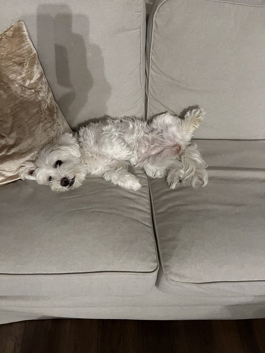 Reza75361754's tweet image. I would like to have a life like that🥰🥰