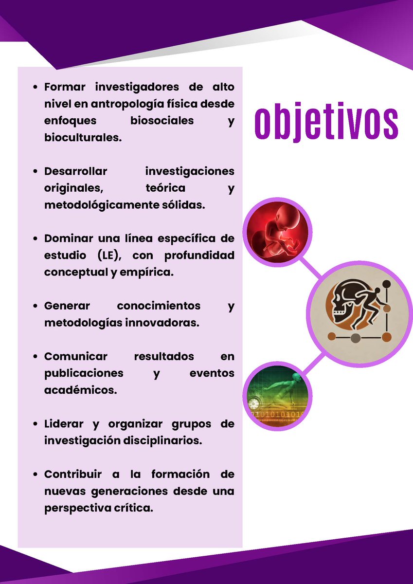 Posgrado en Antropología Física - ENAH tweet media