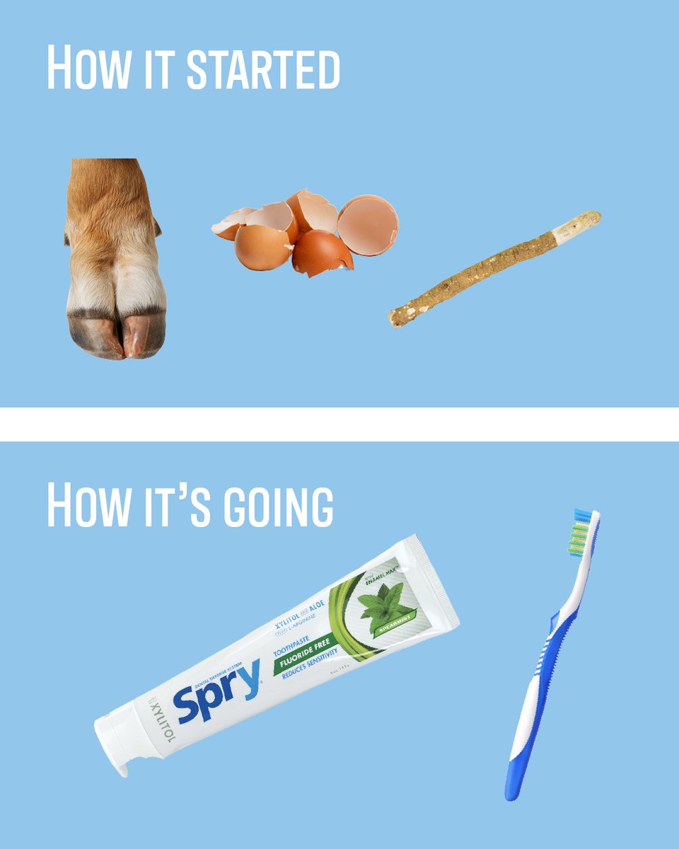 SprySmile's tweet photo. Ancient Egyptians brushed with crushed ox hooves and eggshells.
We’ll stick with Spry, thanks.

Even if your toothpaste isn’t that bad… it’s probably time for an upgrade.

Find where to get yours at the link in our bio! https://t.co/fI0pBEAcH7