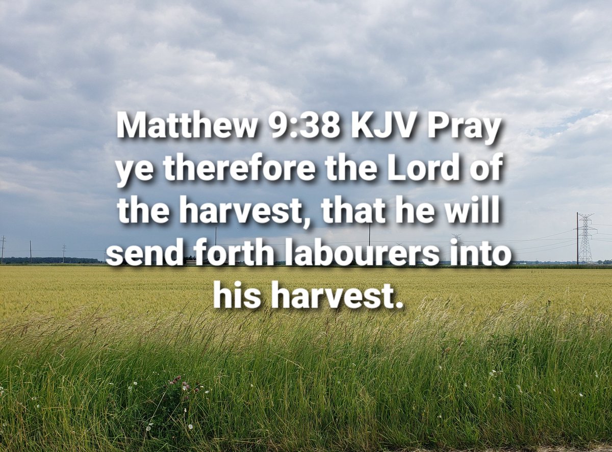 1division's tweet image. 