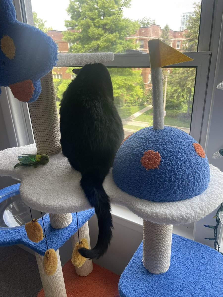 ok so ,,,, my inspactingy of the reauxd work ,,,,