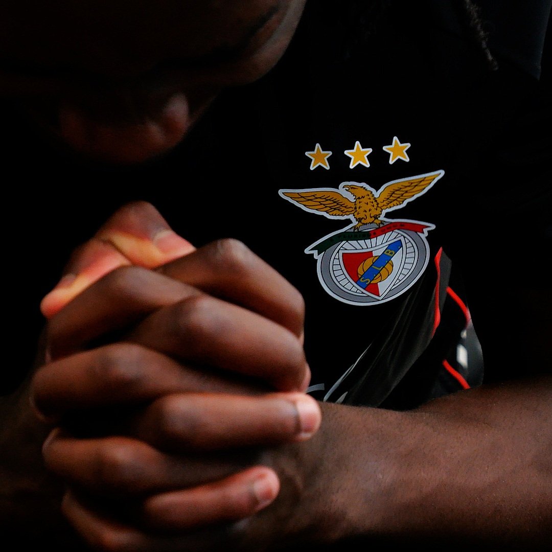 joaorosaribeiro's tweet image. 📽️🦅

#framebyframe
#lumixgh6