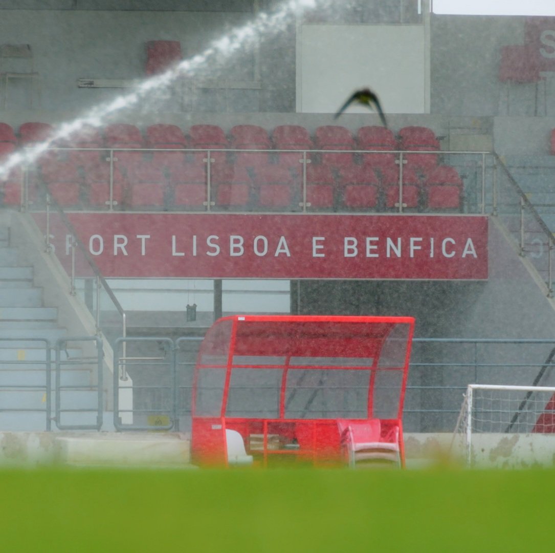 joaorosaribeiro's tweet image. 📽️🦅

#framebyframe
#lumixgh6