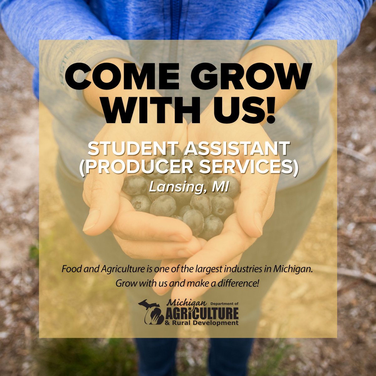 MichDeptofAg's tweet image. Join us in our Agriculture Development Division to work on duties related to the Agriculture Marketing and Bargaining Act and the Producer Services Programs. Grow your skills in one of Michigan’s largest industries. Learn more: bit.ly/4kyoxZa