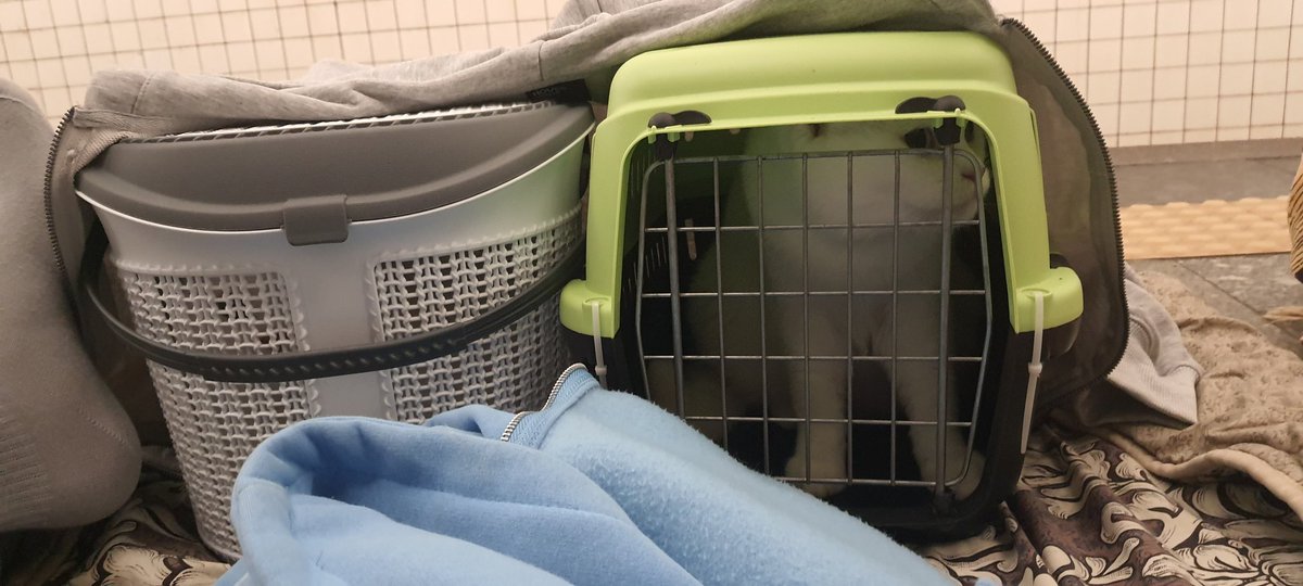 Саме дорогоціне зі мною 😥