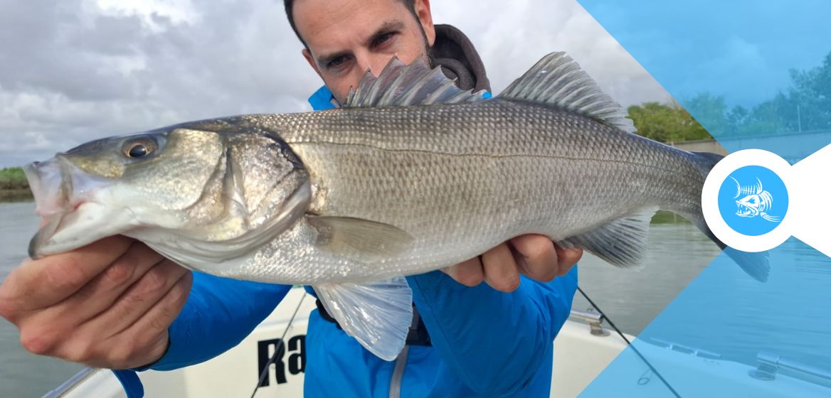 Pesca in mare a luglio?

🎣 Spinning, traina, beach ledgering: ecco le tecniche migliori + 10 spot imperdibili in Italia!

👉fishingmania.it/pesca-in-mare-…