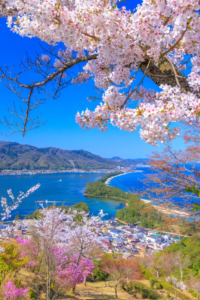 fukuyu0606's tweet image. 遅ればせながら選んでみました！

#2025年自分が選ぶ今年上半期の4枚
#京都よきかな