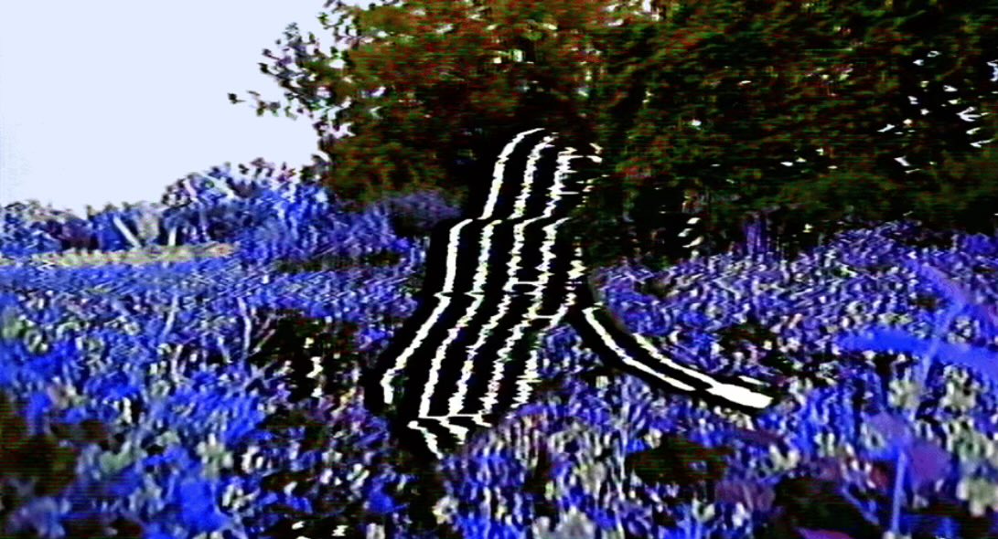drleenft's tweet image. Along with many other of their beautiful pieces … I have just collected "soft return" by @Nebular___ on @objktcom objkt.com/tokens/hicetnu…