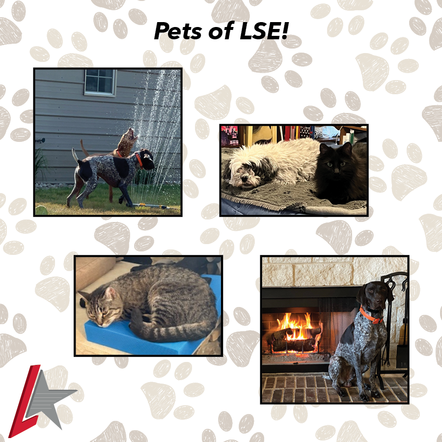 Meet the adorable companions behind the scenes at Lamb-Star, bringing smiles, tail wags, and a little chaos to our day. Because every great team includes a few MVPs. 
#AllAmericanPetPhotoDay #TeamLambStar #PetsOfLSE