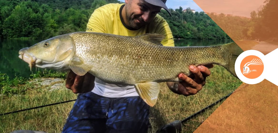 Estate = barbi e cavedani in corrente!
Scopri i migliori spot feeder in Italia (incluso l’Oglio) + strategie e pasture per luglio e agosto 🎯

👉 [fishingmania.it/speciale-caved…