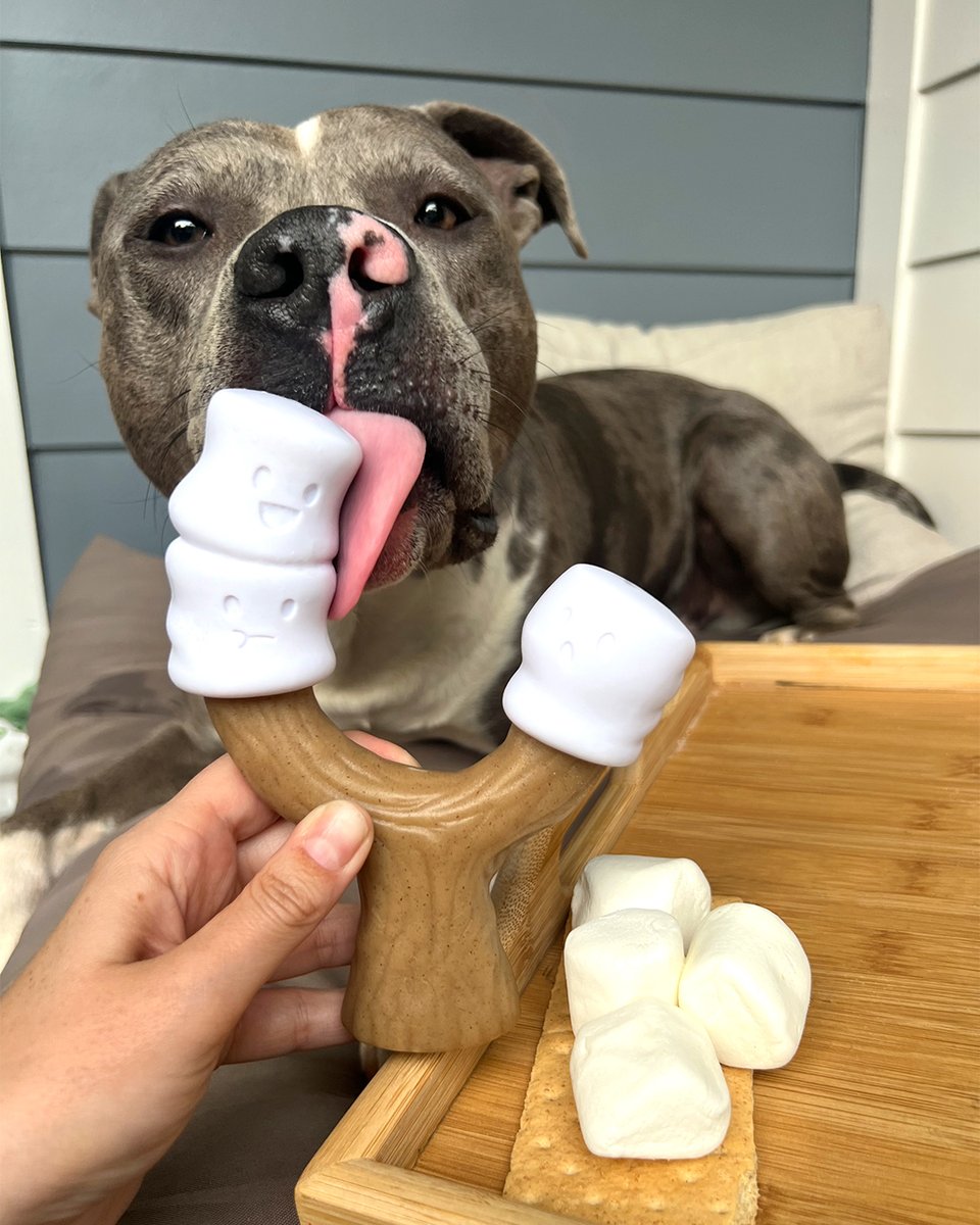 Life is s'more fun with your favorite chew toy. 😉

#Nylabone #dogsoftwitter #dogsofx
