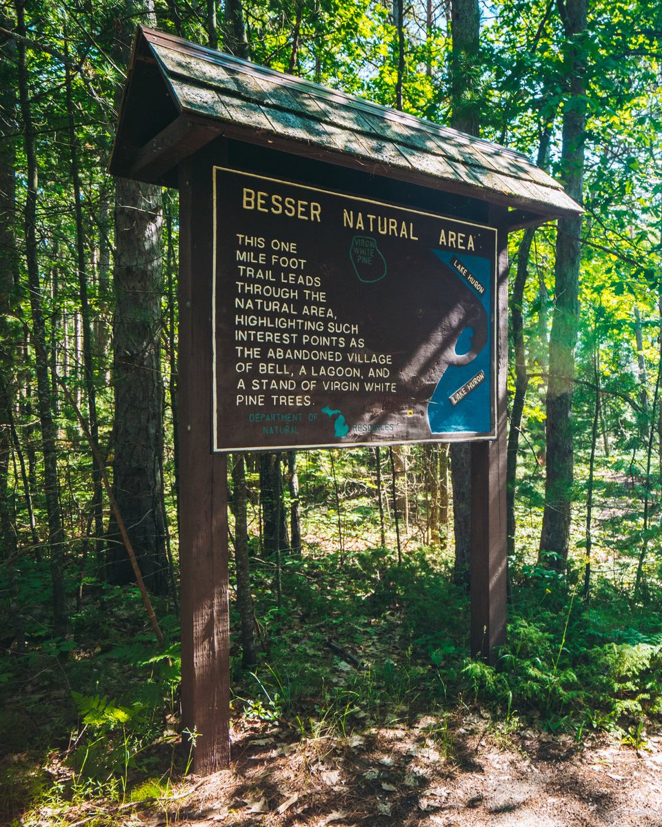 PureMichigan's tweet image. Welcome to your sanctuary. 

📸 Visit Alpena