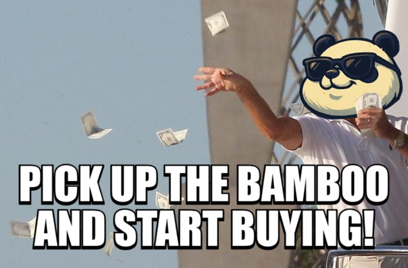 RealPandyCoin's tweet photo. PANDY isn’t asking anymore. He’s showing you what to do. 🐼📈
Only 8M $PANDY exist. Don’t miss the bamboo train. 🚀🎍

#Pandy #PandyCoin #Solana #MemeCoin #CryptoCommunity #PandaPower #JustPanda #CryptoHumor #Altcoins #Web3 #DeFi https://t.co/KdDwsOsy55