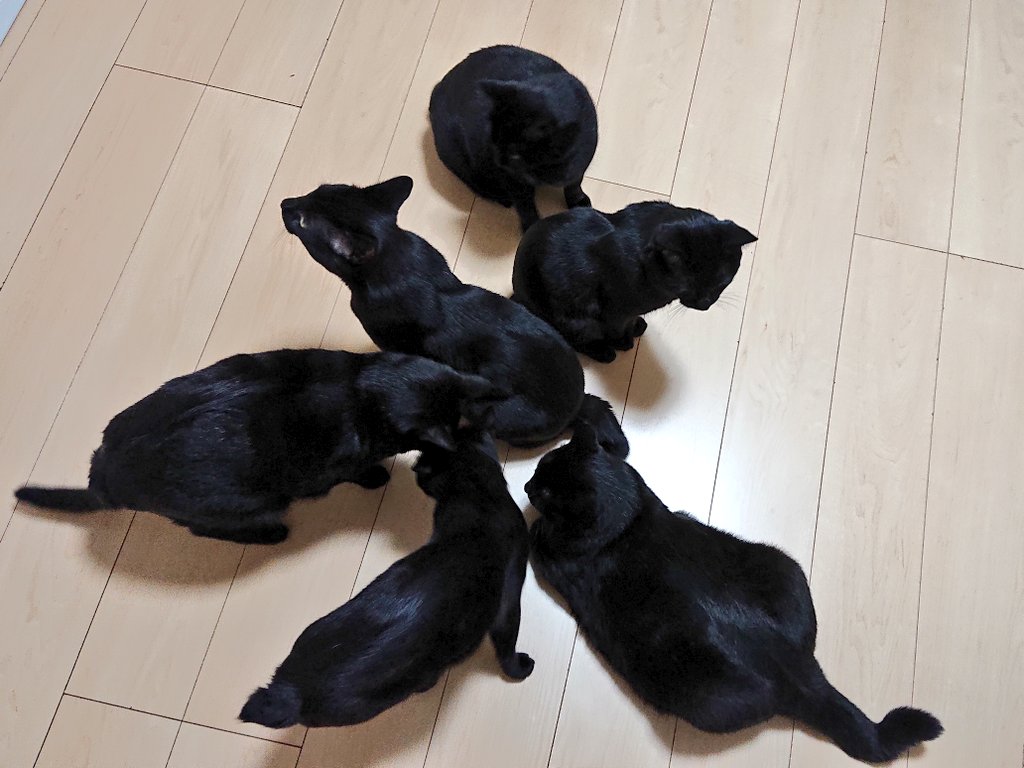arca20220921's tweet image. 犬…かな？
