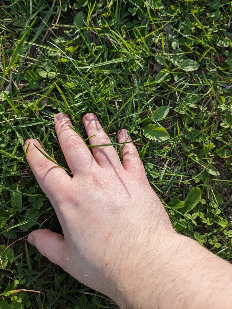 Touching some grass 
#openseatouchgrass