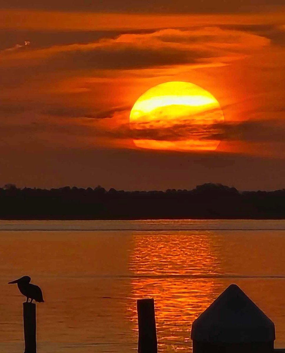 SabbyBentley's tweet image. Beautiful sunset 🌅 Golden skies over Florida.
Enjoy the weekend, friends✨💛