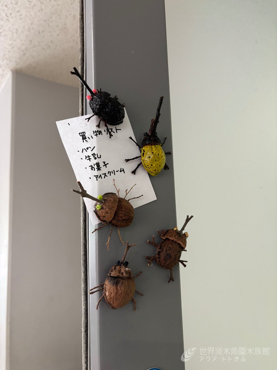 aquatotto's tweet image. 「カブトムシのマグネットをつくろう!」を開催しています!クルミの殻と木の枝を使って、カブトムシを作ります。作ったカブトムシをかっこよく撮影できるコーナーもありますよ。
開催は本日のみ!ぜひご参加ください。【展ス】