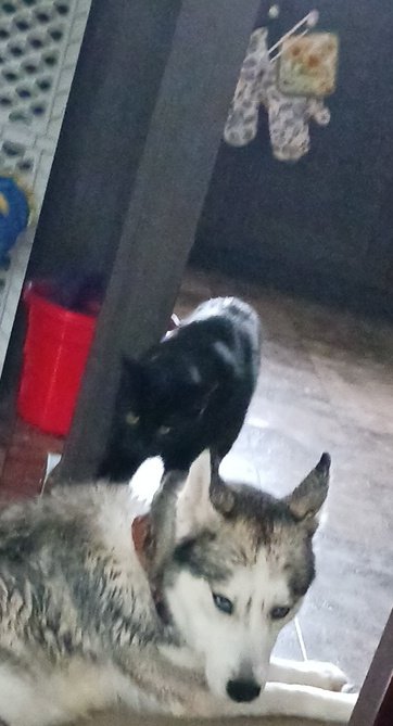 It's behind me isn't it....