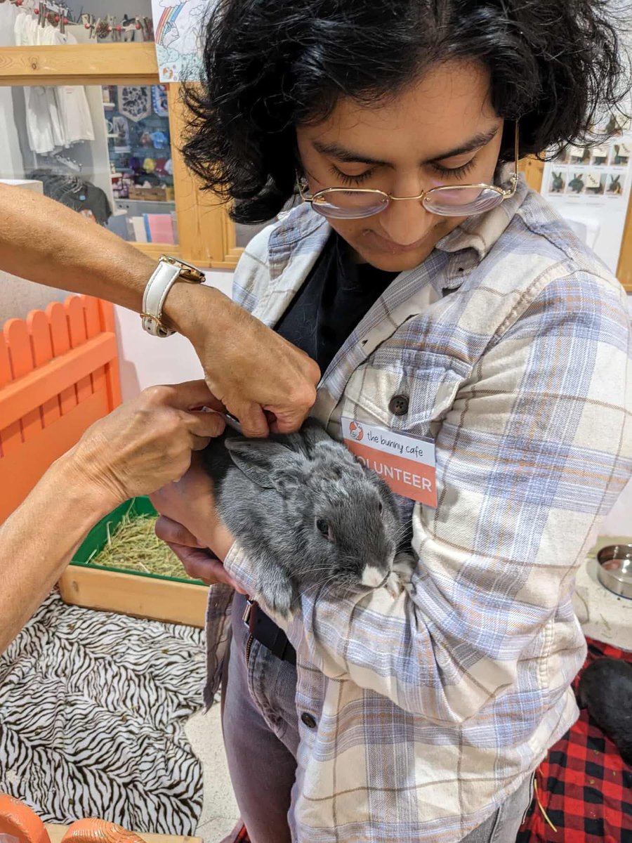 RabbitatsRescue's tweet image. Dr. Veronica vaccinated 147 rabbits against rabbit hemorrhagic disease on Wednesday at @bunnycafe_van + on a Richmond vaccine road trip. Thanks to Dr. Veronica & to Chelsea & Deanna for organizing!
To join waitlist for our next vaccine clinic➡️rabbitats.org/vaccine