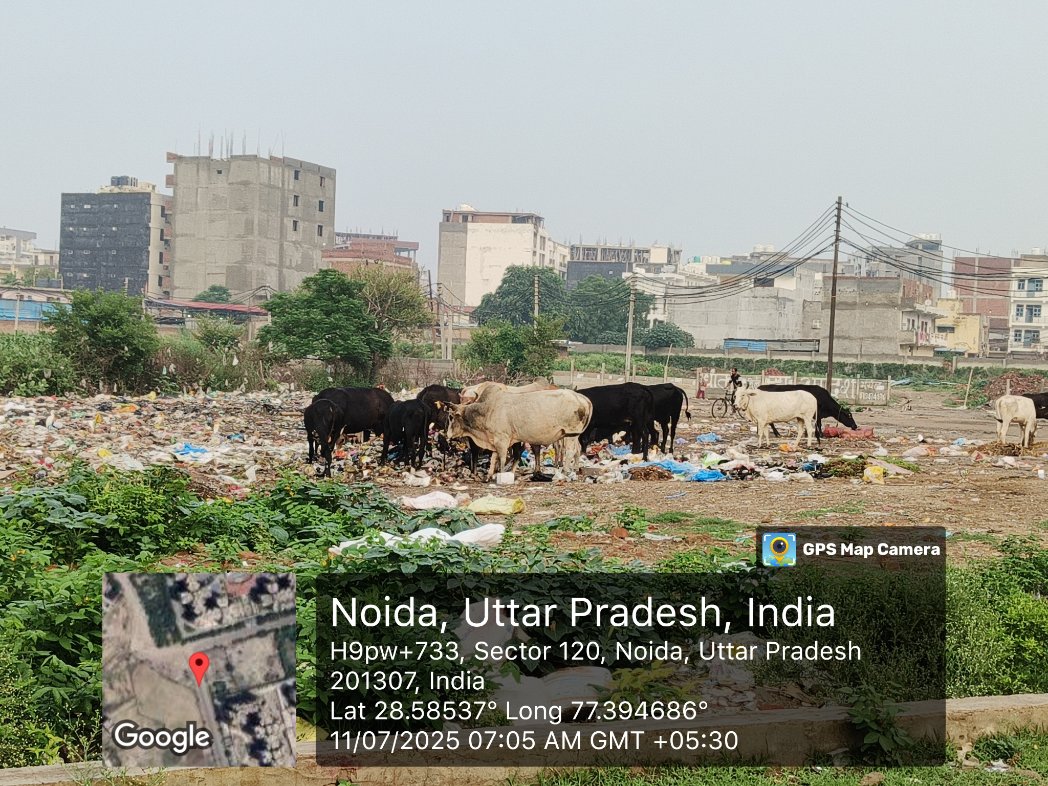 Ashish Gupta tweet media