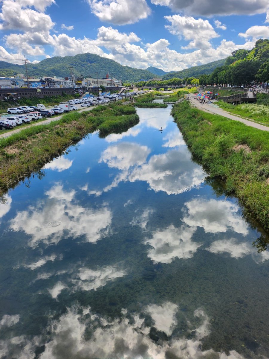 김종봉 tweet media