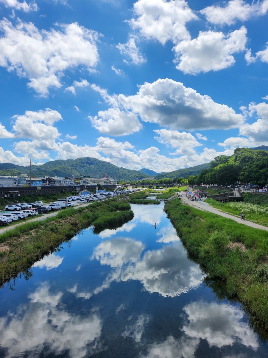 전주천변입니다
자연의 선물입니다