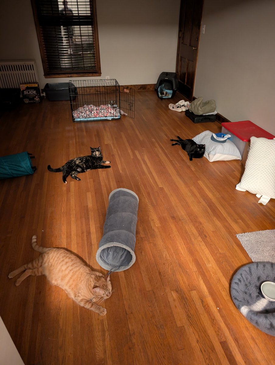 last week i packed my life up and moved to Minneapolis, loving it here so far:)