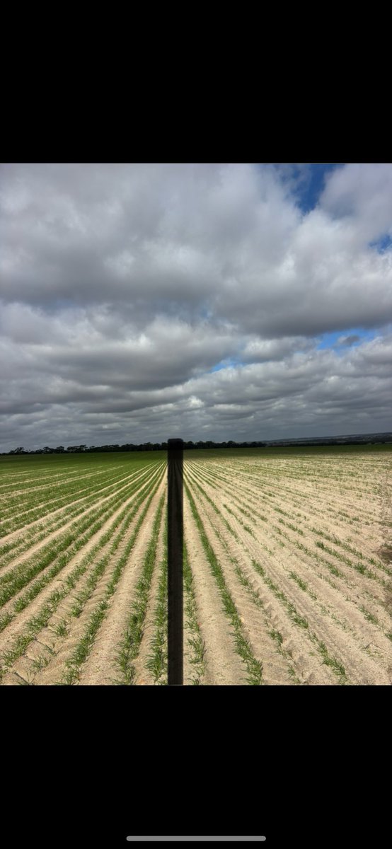Some strong clay responses starting to shape up 👌🏻 #shouldvedonemore