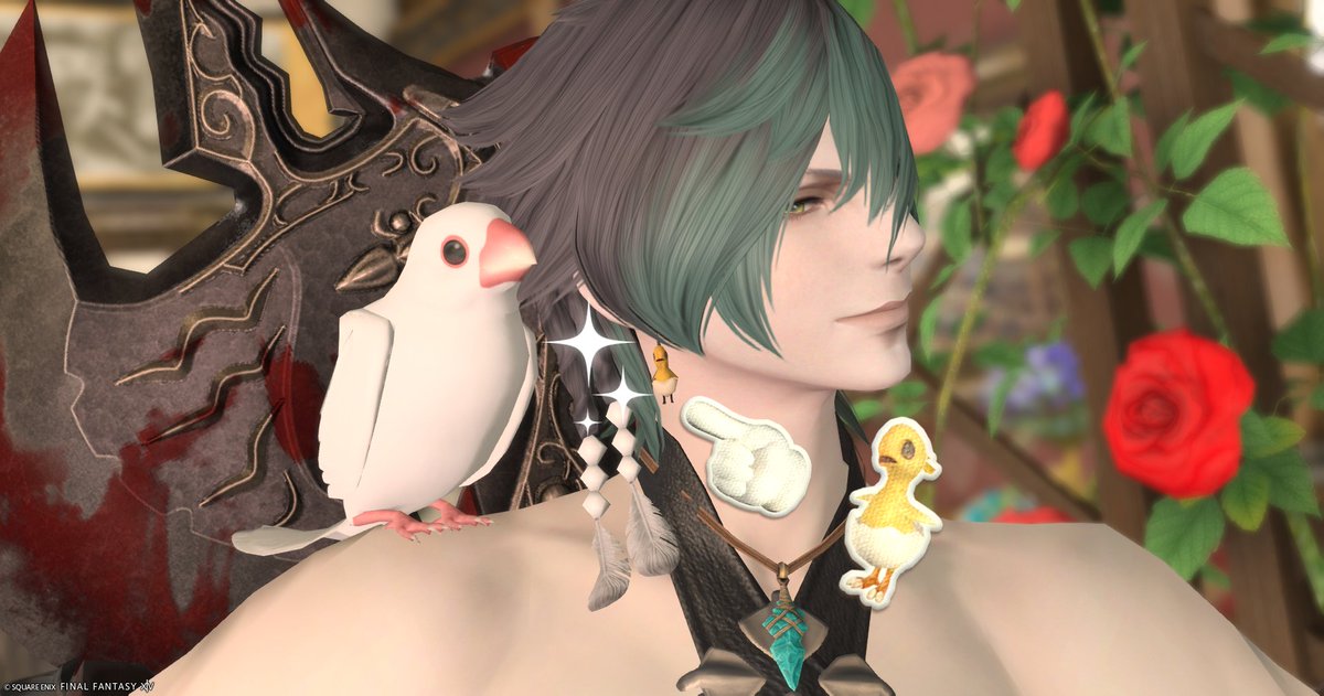 Nabe (@nabe_ff14) on Twitter photo チョコチョコボイヤリング
口あいててかわいい チョコチョコボイヤリング
口あいててかわいい