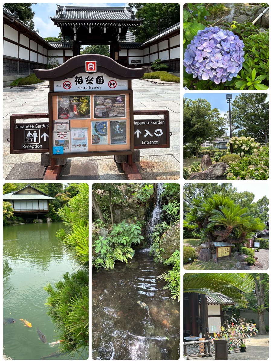 皆様✨こんにちは💠🌿 
いつもありがとうございます🙇

涼しい場所で健康を
優先して過ごしてくださいね𓏸𓂂⍤⃝  ⋈