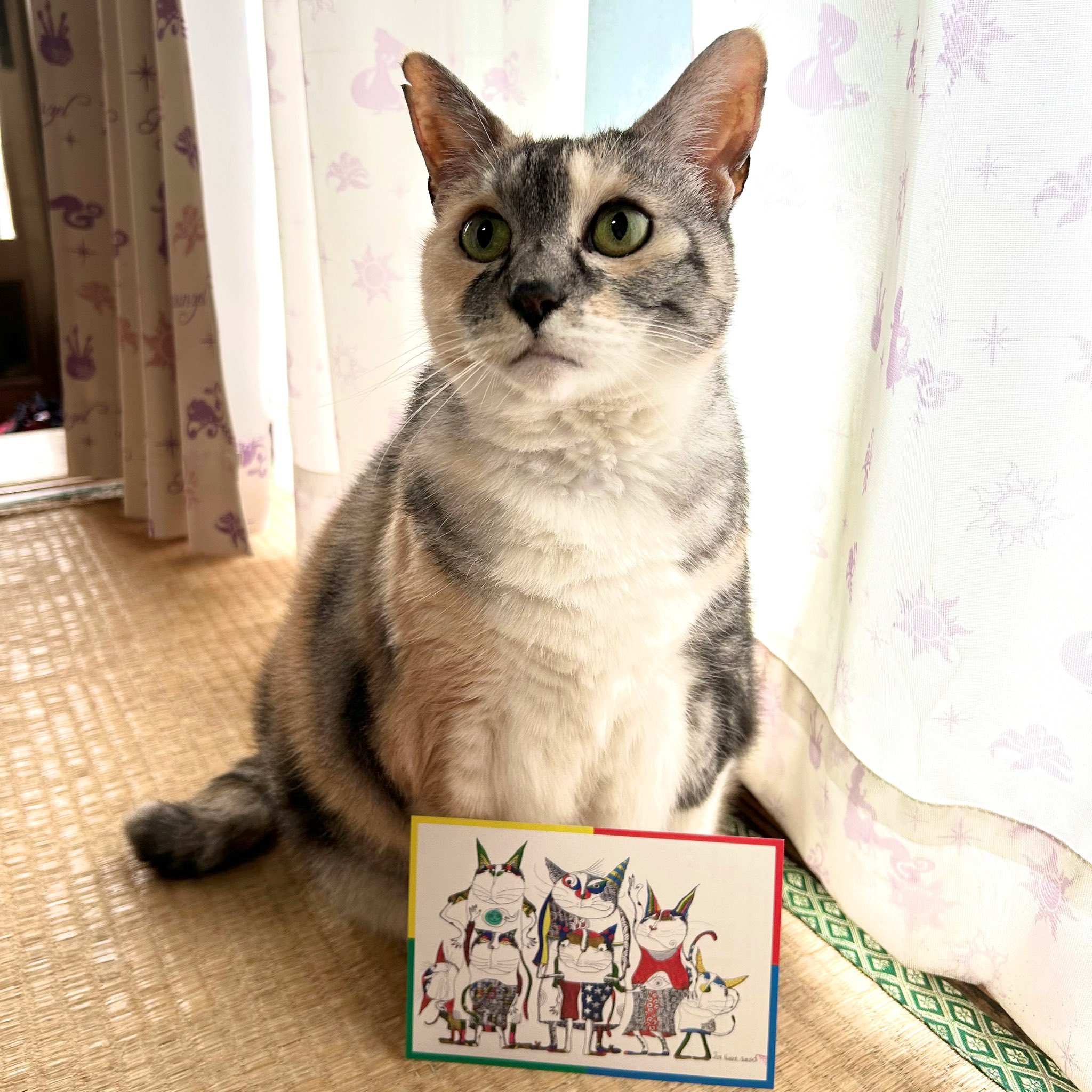 猫六堂＊鈴木信也 (@nekorokudou) / X