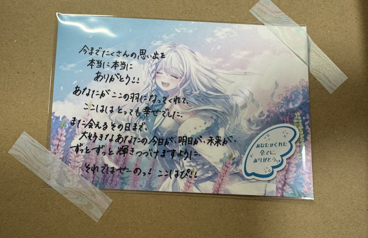 せのここみてみて