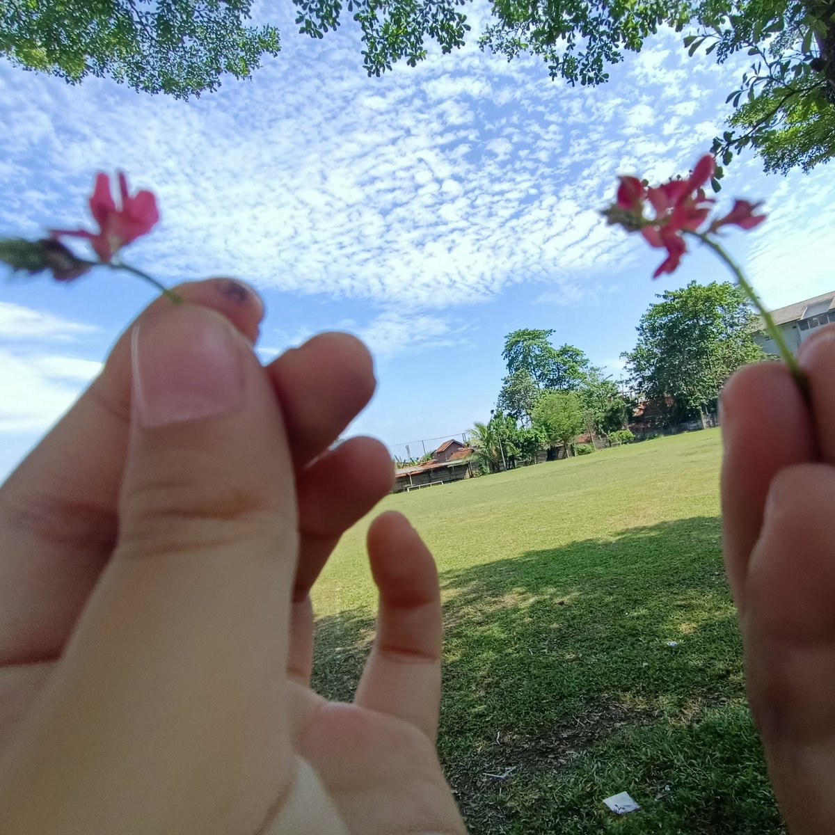 uchitdlitsis's tweet photo. #FotoProfilBaru https://t.co/HxXxWgRwFg