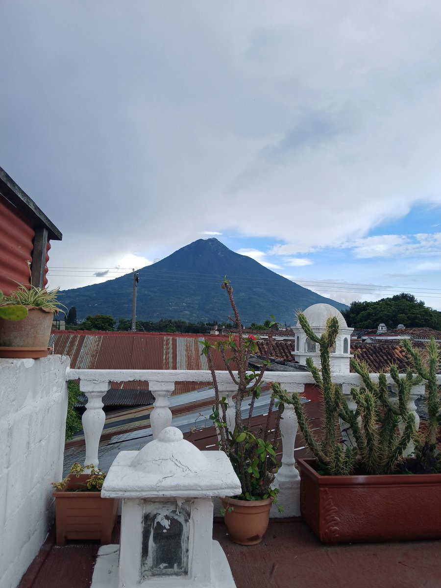 Clark Chernak tweet media