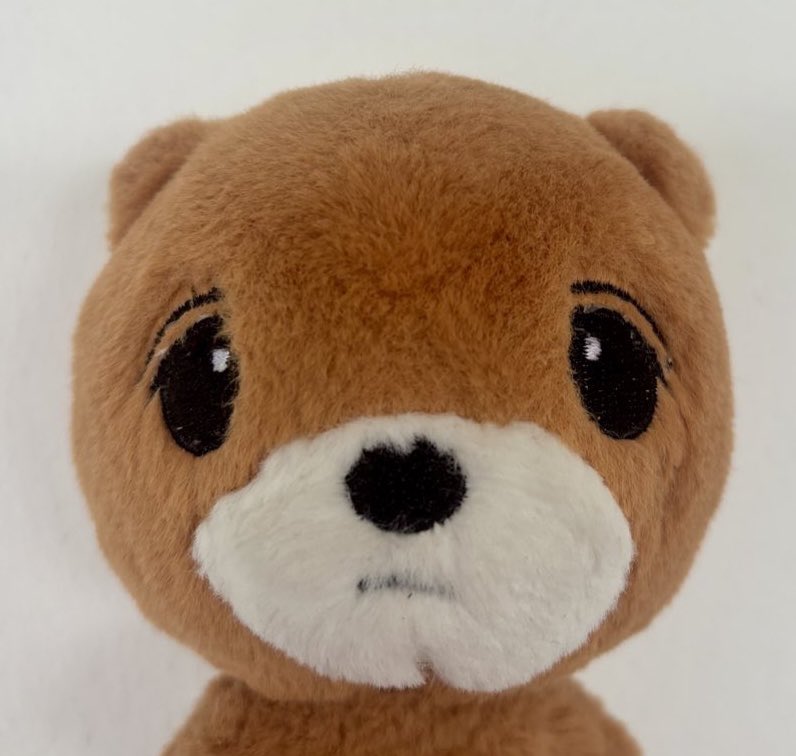 these are literally the same picture