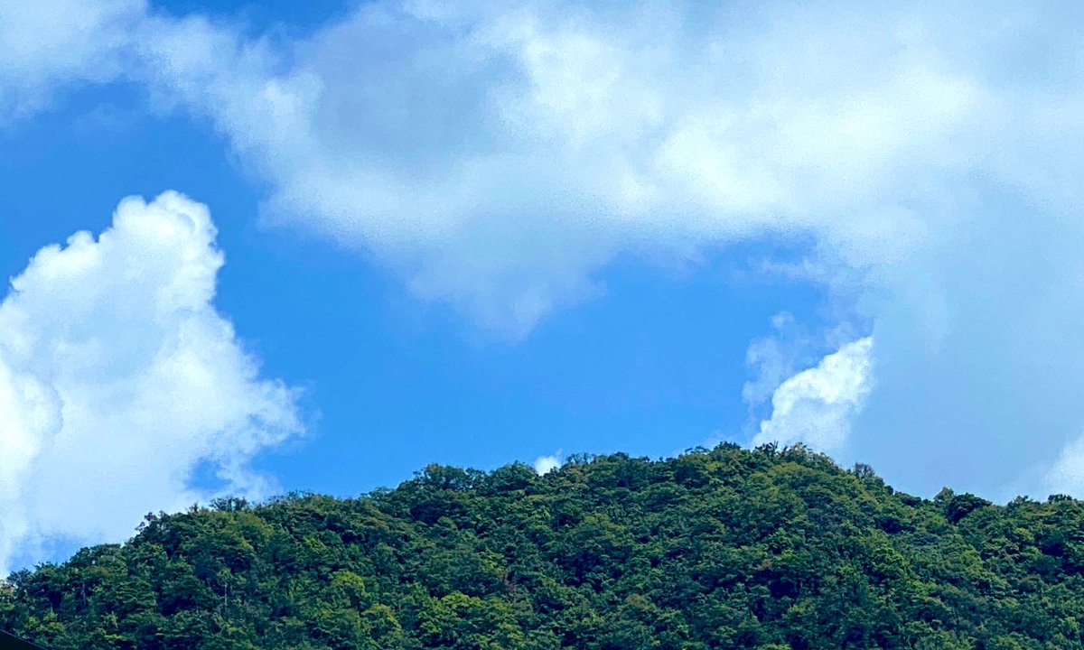 kansuke_y's tweet photo. こんにちはクルージンだな。
#おはようクルージン https://t.co/3eFf7R3po1