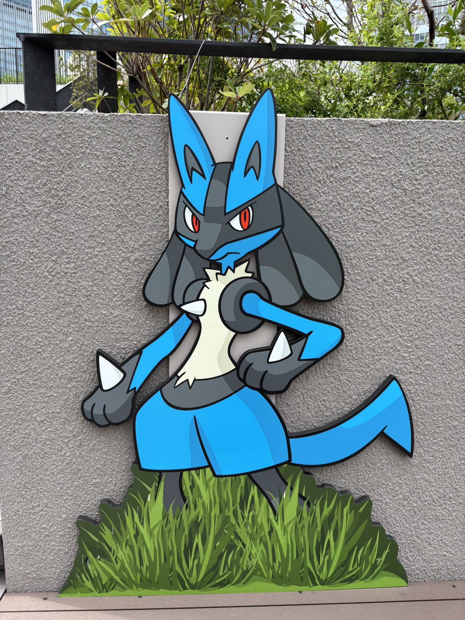 るかっぷ ルカリオ るかっぷ ルカリオ ｜【公式】ポケモンセンターオンライン