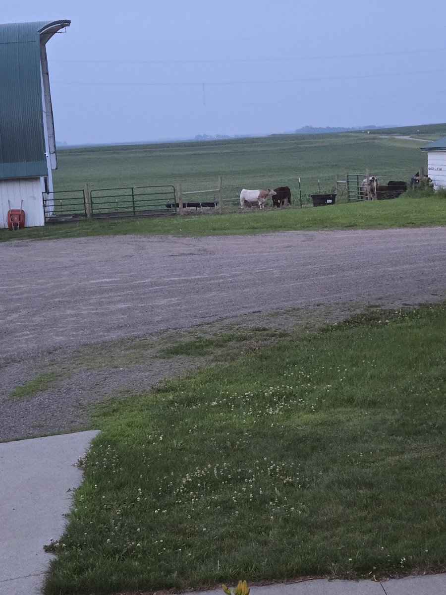 Wild fire smoke from Canada cutting visibility to 2 miles normally we can see 8 to 10 miles