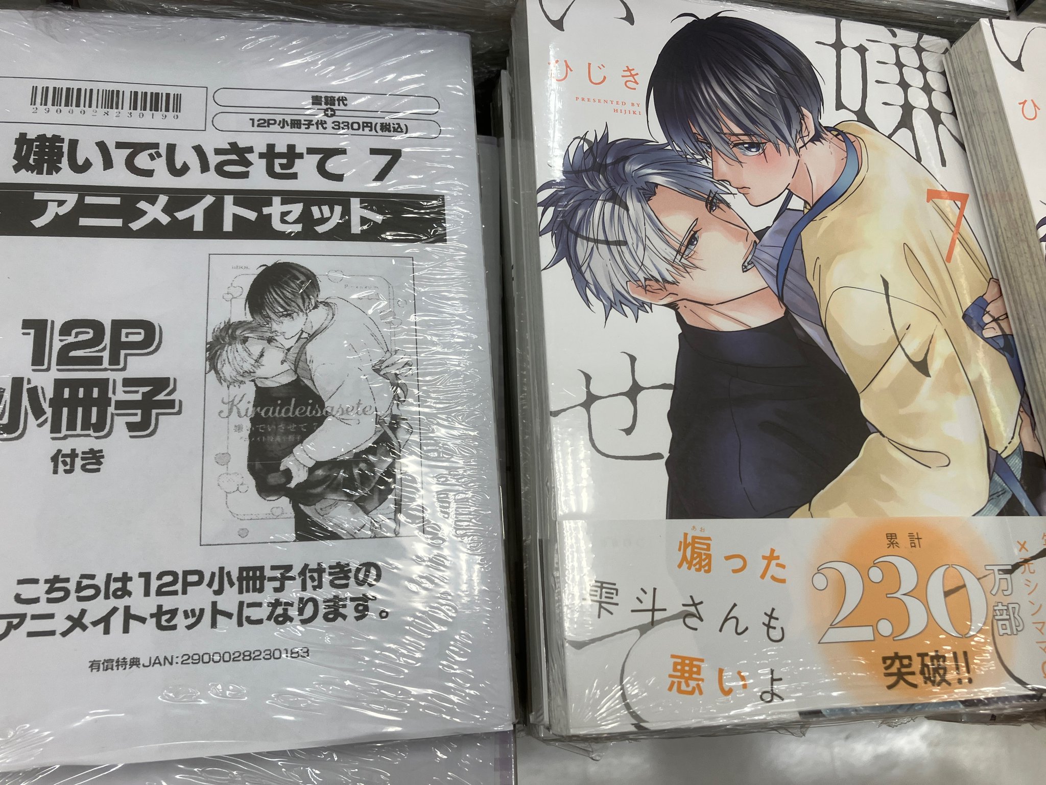 きんとうか　アニメイト特典小冊子「宗定編」 16756-4174-