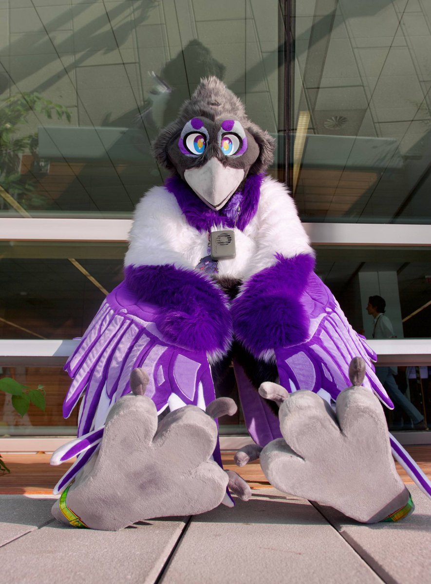 Umbra ๐ FWA (@umbramagpie) on Twitter photo Happy #FursuitFriday everyone ๐
Hope you enjoy the talons on the timeline :>
๐ธ <a href="/GildrynTheEagle/">Gildryn the Golden Eagle ๐ฆ
</a> Happy #FursuitFriday everyone ๐
Hope you enjoy the talons on the timeline :>
๐ธ <a href="/GildrynTheEagle/">Gildryn the Golden Eagle ๐ฆ
</a>