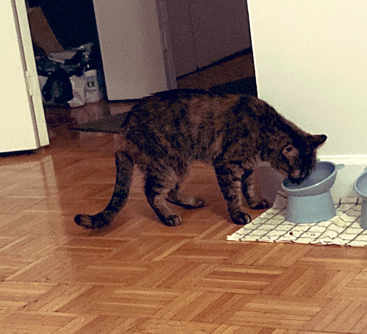 Been awhile since I’ve posted on Twitter. Hope everyone has been well!