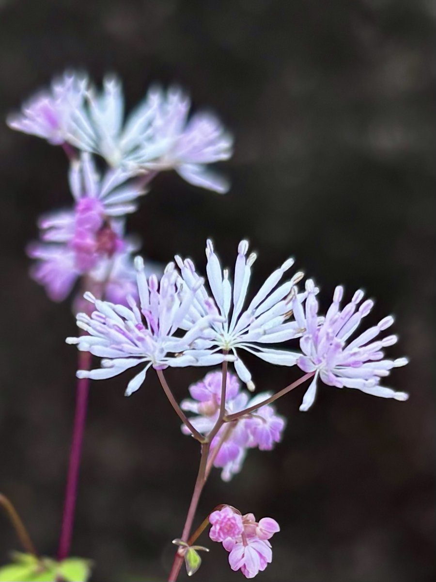 ICHI (@kenny7215) / X