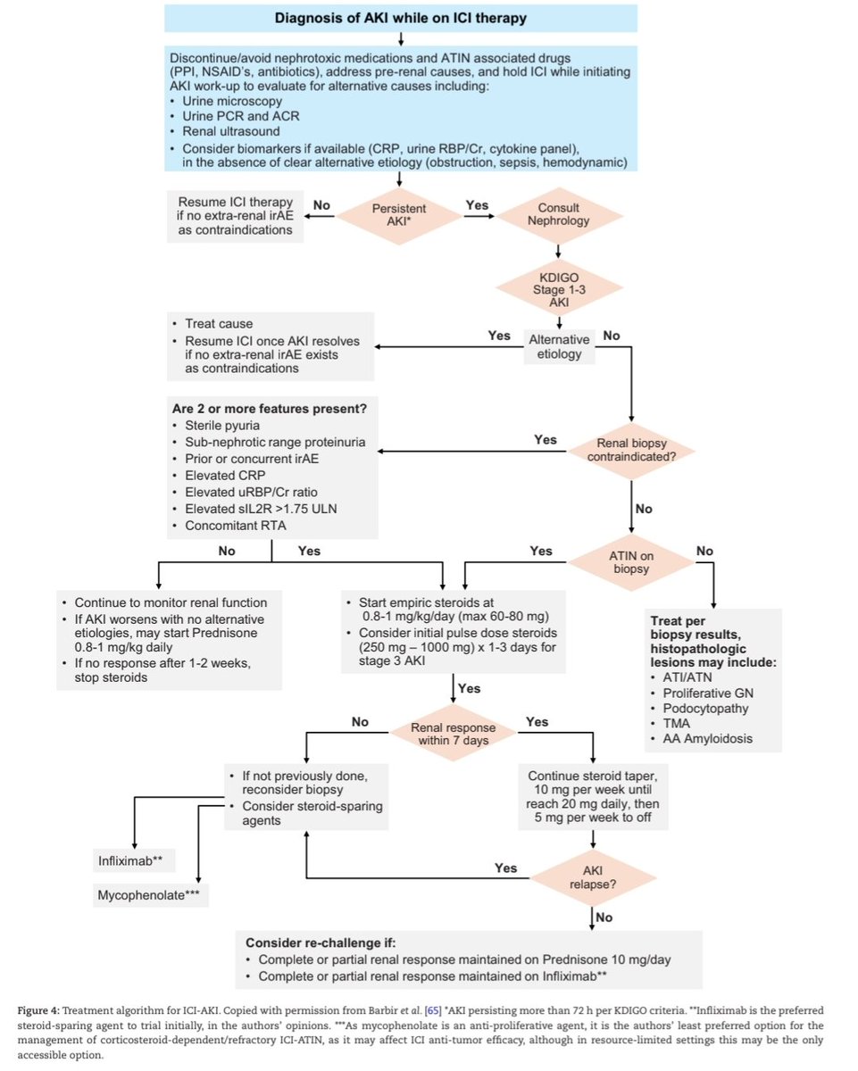 Ten tips for an onco-nephrology clinic.
🟢 Algoritmo Diagnóstico y tratamiento de lesión renal aguda en pacientes que utilizan inhibidores de checkpoint
https:/doi.org/10.1093/ckj/sfaf174