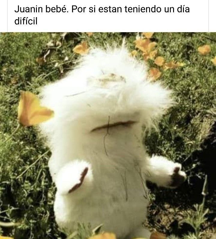 Wenas, sé que no he actualizado nada, el capítulo 3 se está escribiendo pero he tenido otras responsabilidades, aun así prometo sacarlo.

Eso es todo por hoy :3