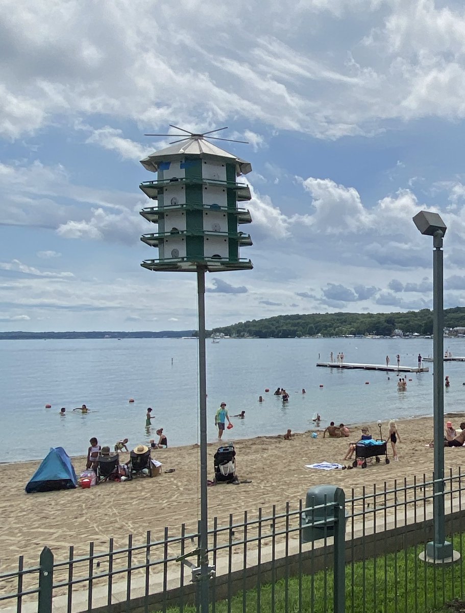 AliDriverUK's tweet image. Eat your heart out Swift brick-denying UK government. Here in Wisconsin, the Lake Geneva Avian Committee appointed and hosted by the City Mayor, instal and maintain dozens of these pole-mounted boxes for Purple Martins around the lake with great success and the locals love it.