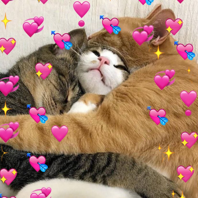 TheSakuraGG's tweet image. 3v3 Co-Ed SND Switch🎀

📆 SUNDAY, SPINS @ 6PM BST
🇪🇺 EU Host Only
❌ No Cap

ℹ️ Sign-up as a M+F Duo OR a Solo Male, get paired with one another
🫂 Teams: Co-Ed Duo x Solo Male

💸 90% Entry Fees + Respins
🎟️ £10 per Duo / £5 per Player

Sign-ups via Discord! Link:…