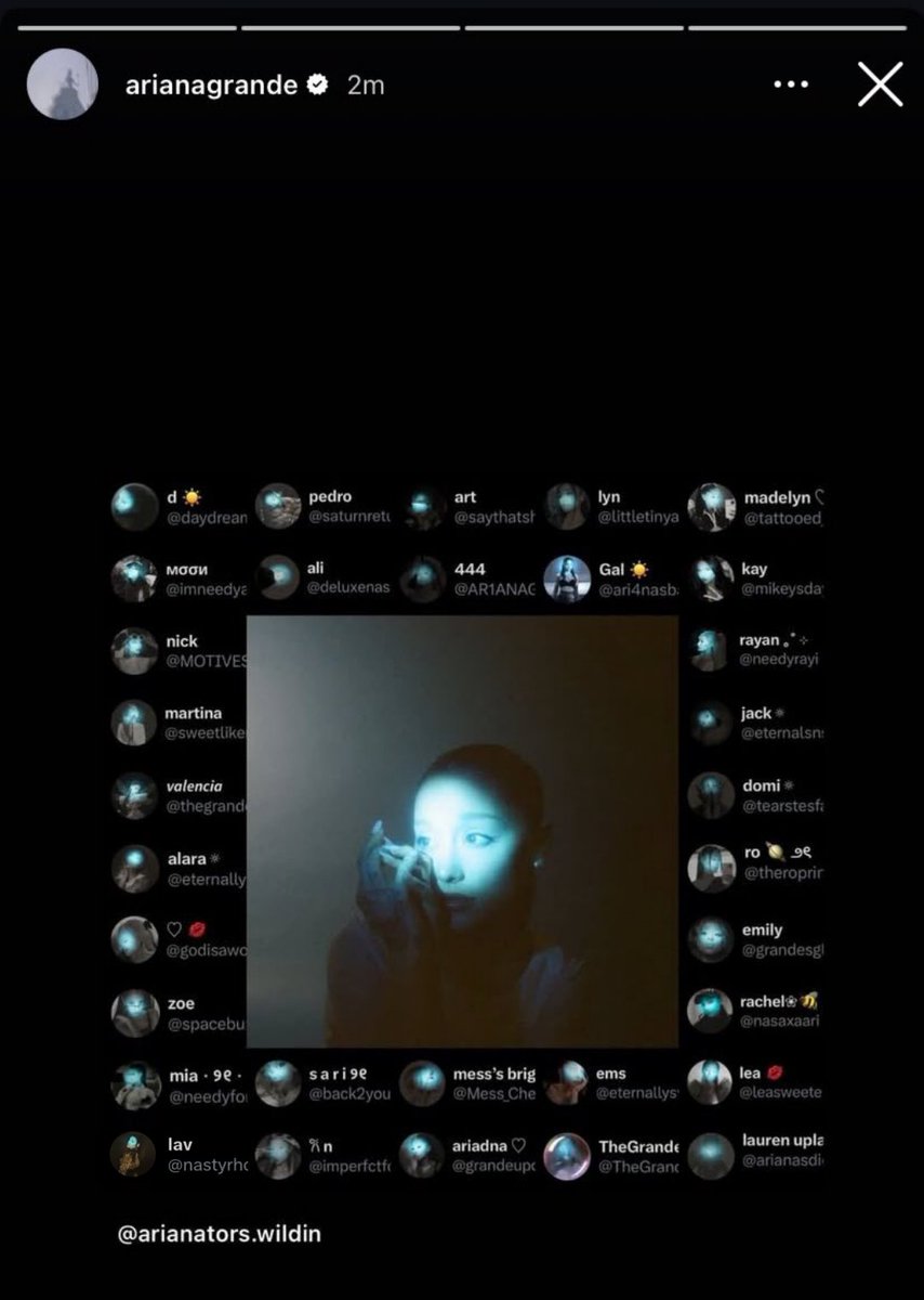 lembrando do dia que apareci no story da ariana