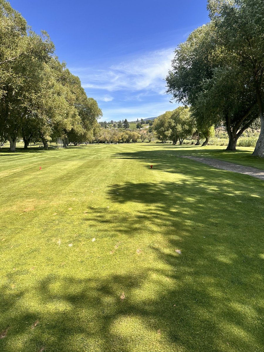 TokStocks's tweet image. Touch grass ⛳️🏌️
